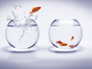 网站建设背后的逻辑，你真的了解吗